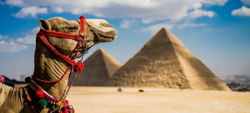 Private Half Day Tour: Giza Pyramids And The Sphinx