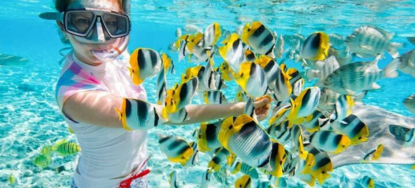 Red Sea Snorkeling Day Trip By Boat From Hurghada