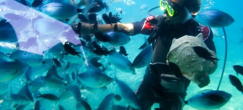 Red Sea Snorkeling Day Trip By Boat From Hurghada