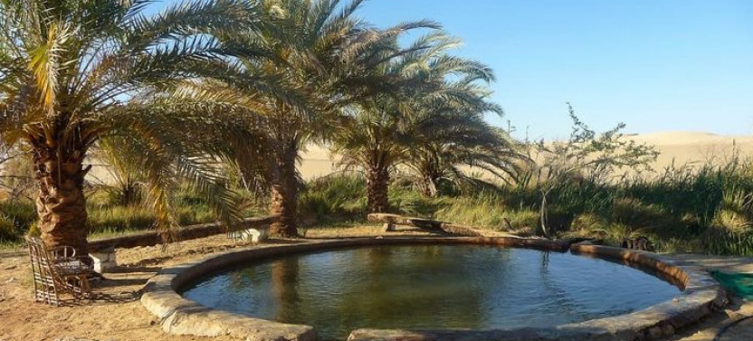 3 Days - Private Siwa Oasis Adventure