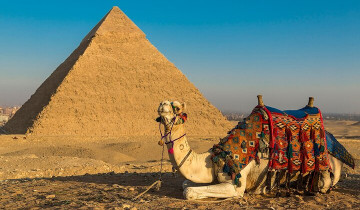 A picture of 8 Days - Cairo, Aswan & Luxor With Nile Cruise