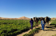 4 Days Trekking To The Heart Of Desert From Marrakech