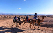 DesertBrise Travel10