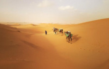 DesertBrise Travel4