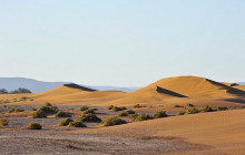 DesertBrise Travel5