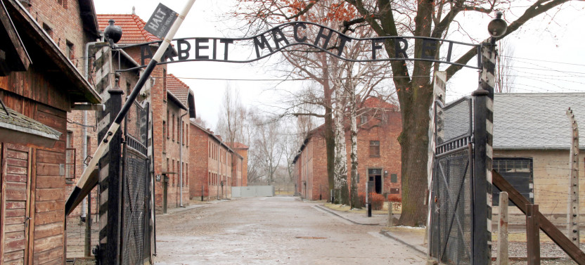 Auschwitz-Birkenau Memorial & Wieliczka Salt Mine Guided Tour