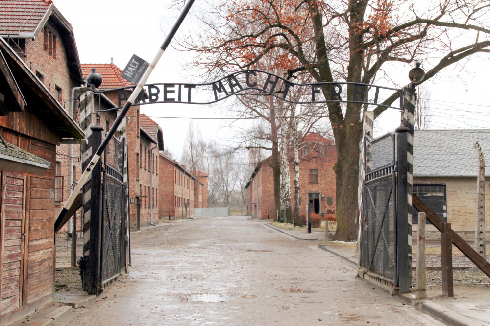 Auschwitz-Birkenau Memorial & Wieliczka Salt Mine Guided Tour