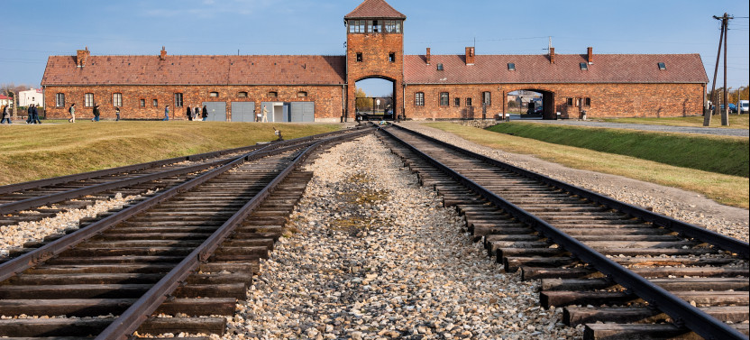 Auschwitz-Birkenau Memorial & Wieliczka Salt Mine Guided Tour