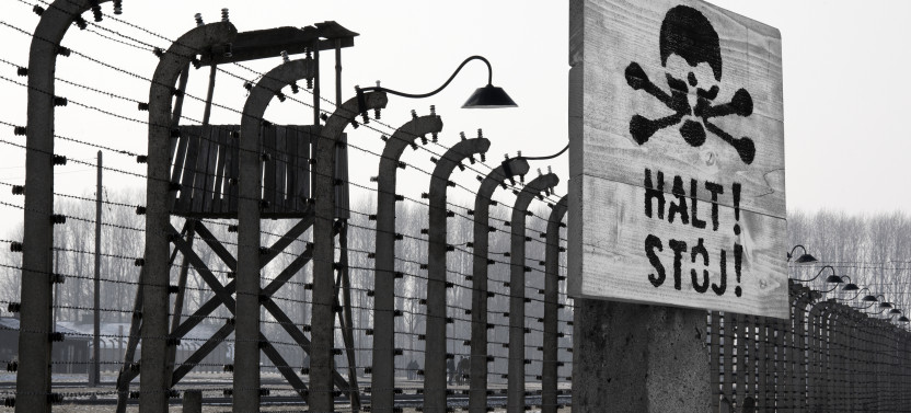 Auschwitz-Birkenau Memorial & Wieliczka Salt Mine Guided Tour