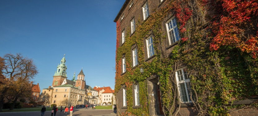 Krakow: Guided Wawel Tour, Lunch, And Vistula River Cruise