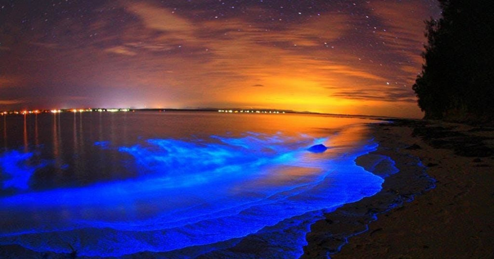 Where to See Bioluminescence in Florida: Cocoa Beach, Key West