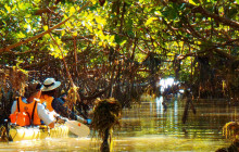 7 Days in Everglades & 10,000 Islands