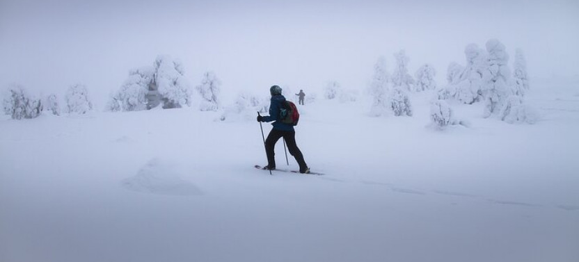 Snowshoeing Experience In Rovaniemi