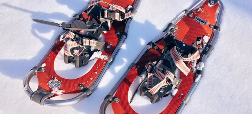 Snowshoeing Experience In Rovaniemi