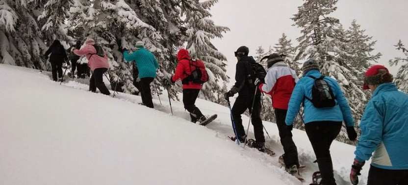 Snowshoeing Experience In Rovaniemi