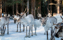 Wonderlapland Experiences Oy2