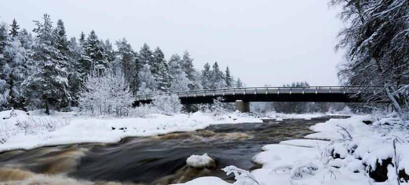 Vikaköngäs Hiking Tour