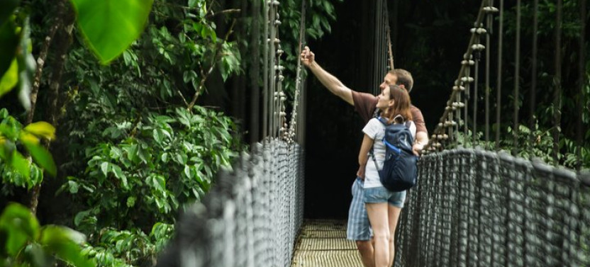 Hanging Bridges + Waterfall Hike + Lunch + Volcano + Baldí
