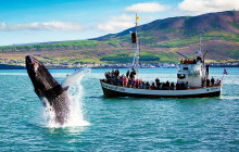 Small Group Premium Iceland - 9D/8N