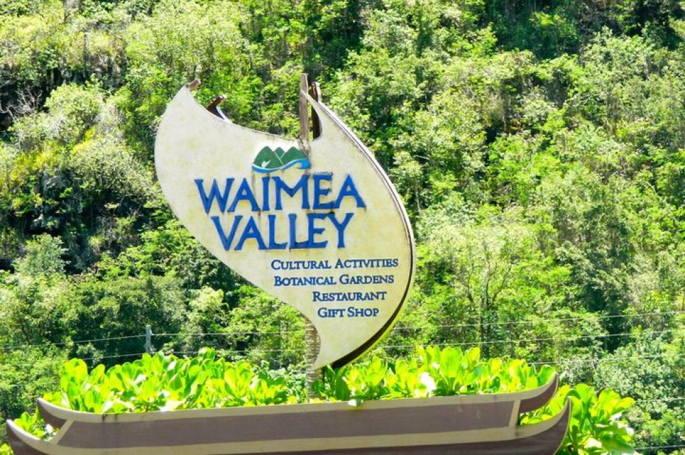 North Shore Tour Waimea Valley, Macadamia Farm & Dole Plantation