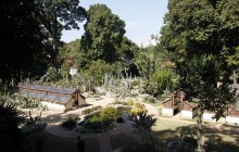 Botanical Garden - Ticket and Visit