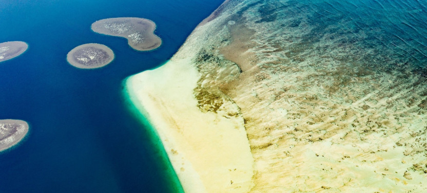 Kaneohe Bay Sandbar Self-Guided Kayak Experience