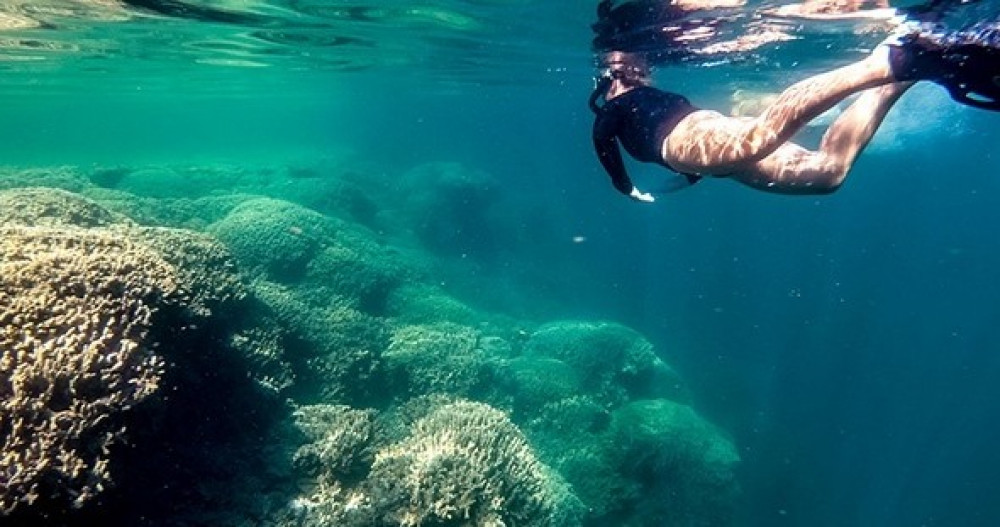 Guided Mokulua Islands Kayak Tour and E-Bike Adventure