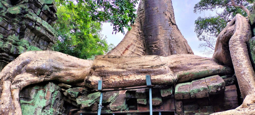 Angkor Wat Sunrise, Ta Promh, Banteay Srei, Bayon Private Full-Day Tour