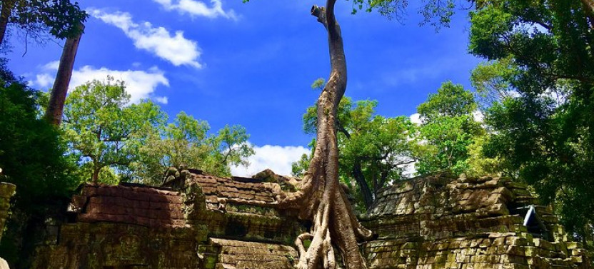 Angkor Wat, Ta Promh, Banteay Srei, Bayon temples Private Full Day Tour