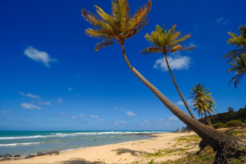 City Tour Of Natal And The South Coast