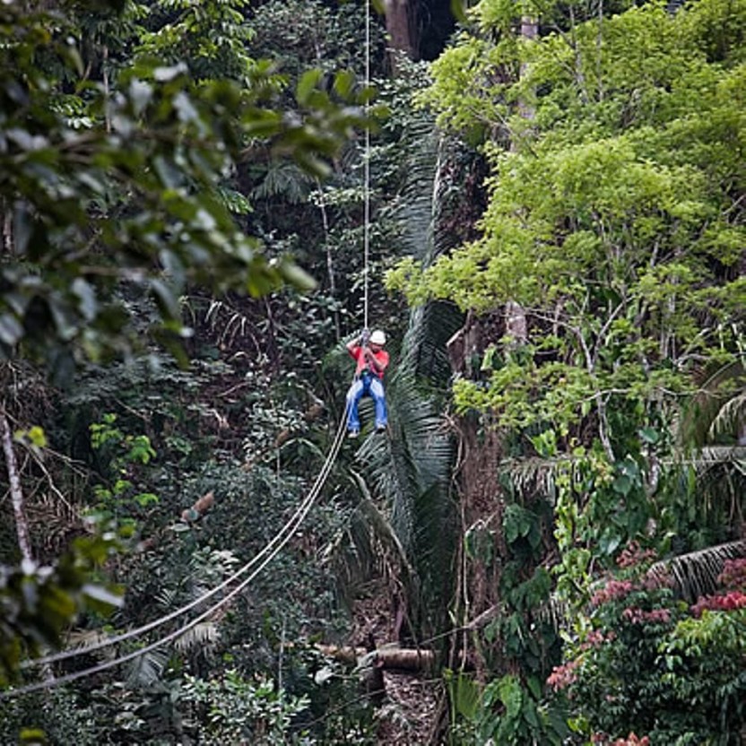 Ziplining - Daytime Flying