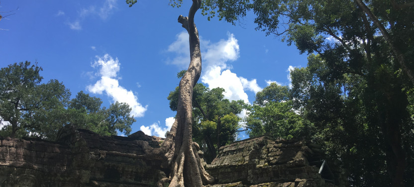 Highlight of Angkor Complex 2 Days Private Tour