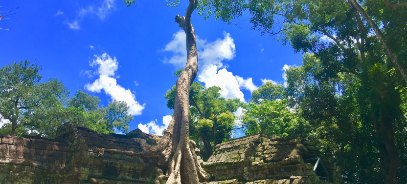 Private Siem Reap 3 Day Tour Discover All Highlight Angkor Temple
