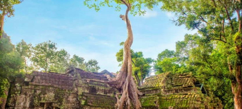 Angkor Wat one Day Private Tour for All Highlight Angkor Temples