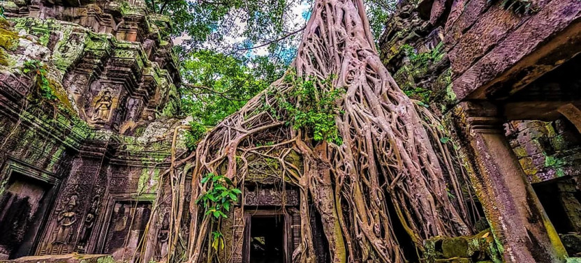 Private Cambodia 7 Days from Siem Reap to Battambang and Phnom Penh