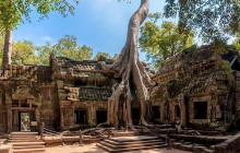 Private Cambodia 7 Days from Siem Reap to Battambang and Phnom Penh