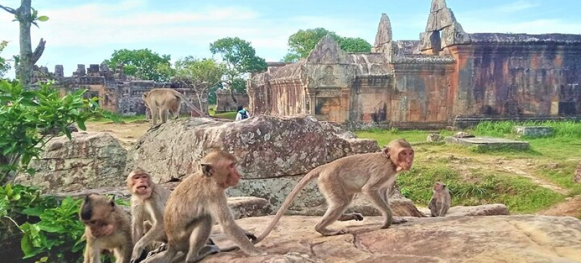Koh Ker & Beng Mealea Temple Full-Day Private Tour from Siem Reap