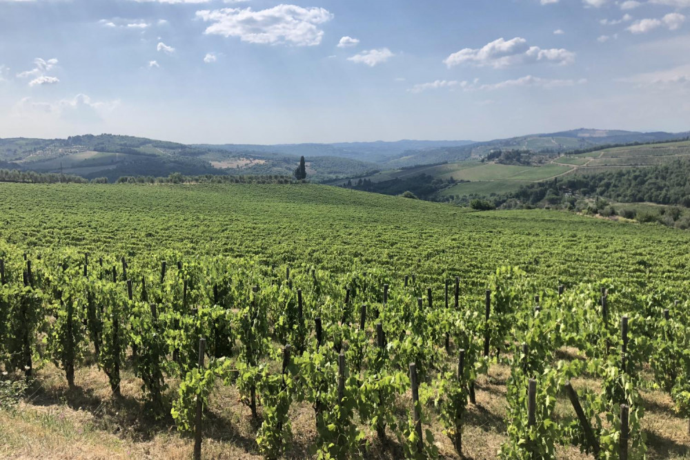 Chianti Authentic Experience Afternoon Tour with Two Wine Tasting