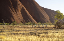 Uluru Segway Tours4