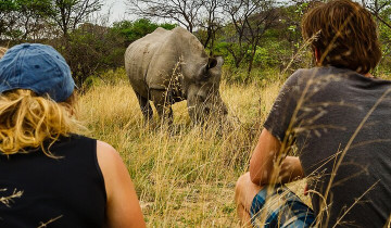 A picture of 2 day - Matopos & Great Zimbabwe Ruins