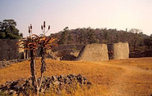 African Zebras Safaris13