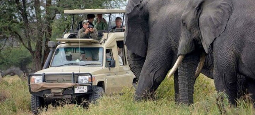5 Day - Tanzania Wildlife Encounter Camping Safari