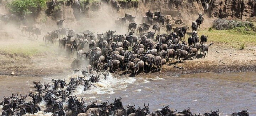 5 Day - Tanzania Wildlife Encounter Camping Safari