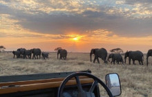 9 Day - Tanzania Serengeti & Zanzibar Island Safari