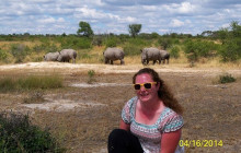 African Zebras Safaris1