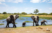 African Zebras Safaris13