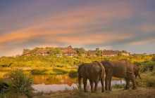 African Zebras Safaris17