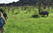 African Zebras Safaris20