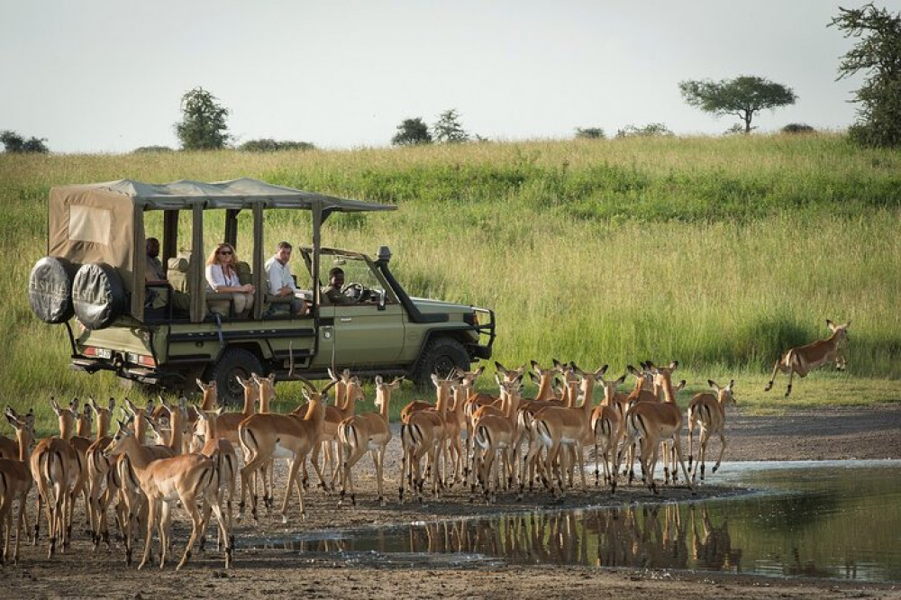 Hwange Park: Big 5 Game-Viewing Driving Tour