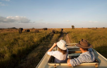 African Zebras Safaris3